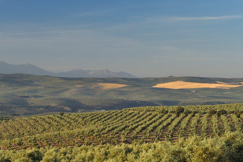 Visita nuestras instalaciones