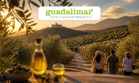 Oleoturismo en Jaén: qué ver y hacer en el olivar cuando baja el calor
