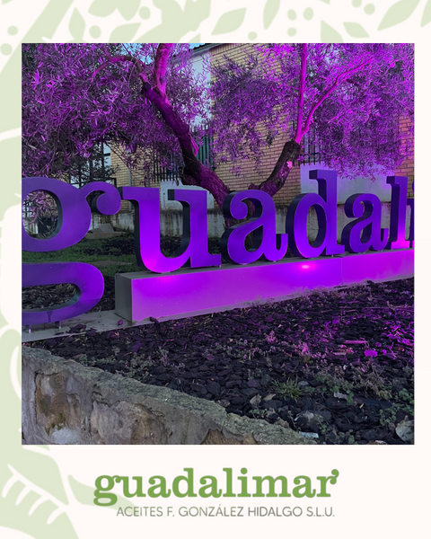 El Papel de la Mujer en el Cultivo del Olivar